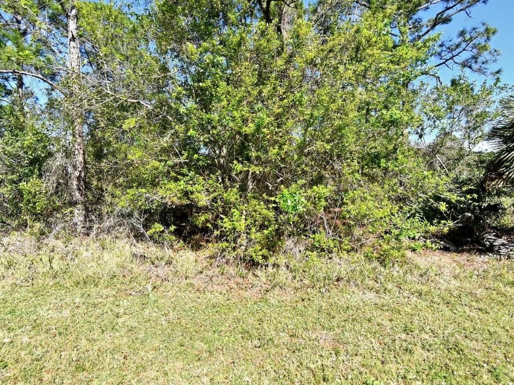 Photo of 0 Pine Needle Drive, Fort Pierce, FL 34945 (MLS # R11000802)