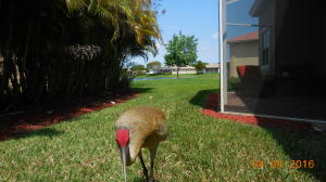 BAYWINDS RPD 2 - Residential