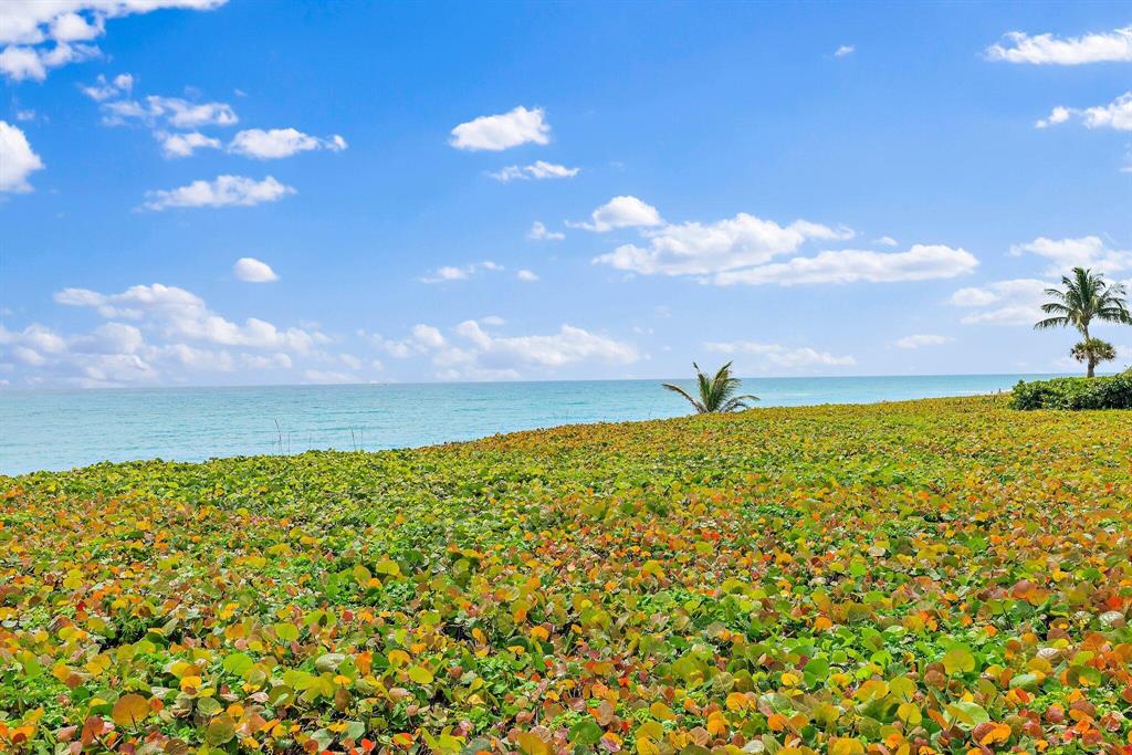 COTE DE LA MER - Residential