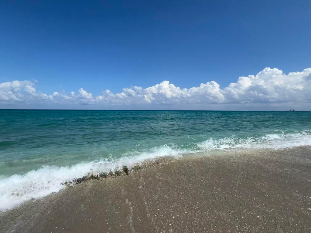 CONNEMARA CONDO - Residential Lease