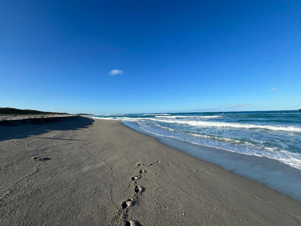 CONNEMARA CONDO - Residential Lease