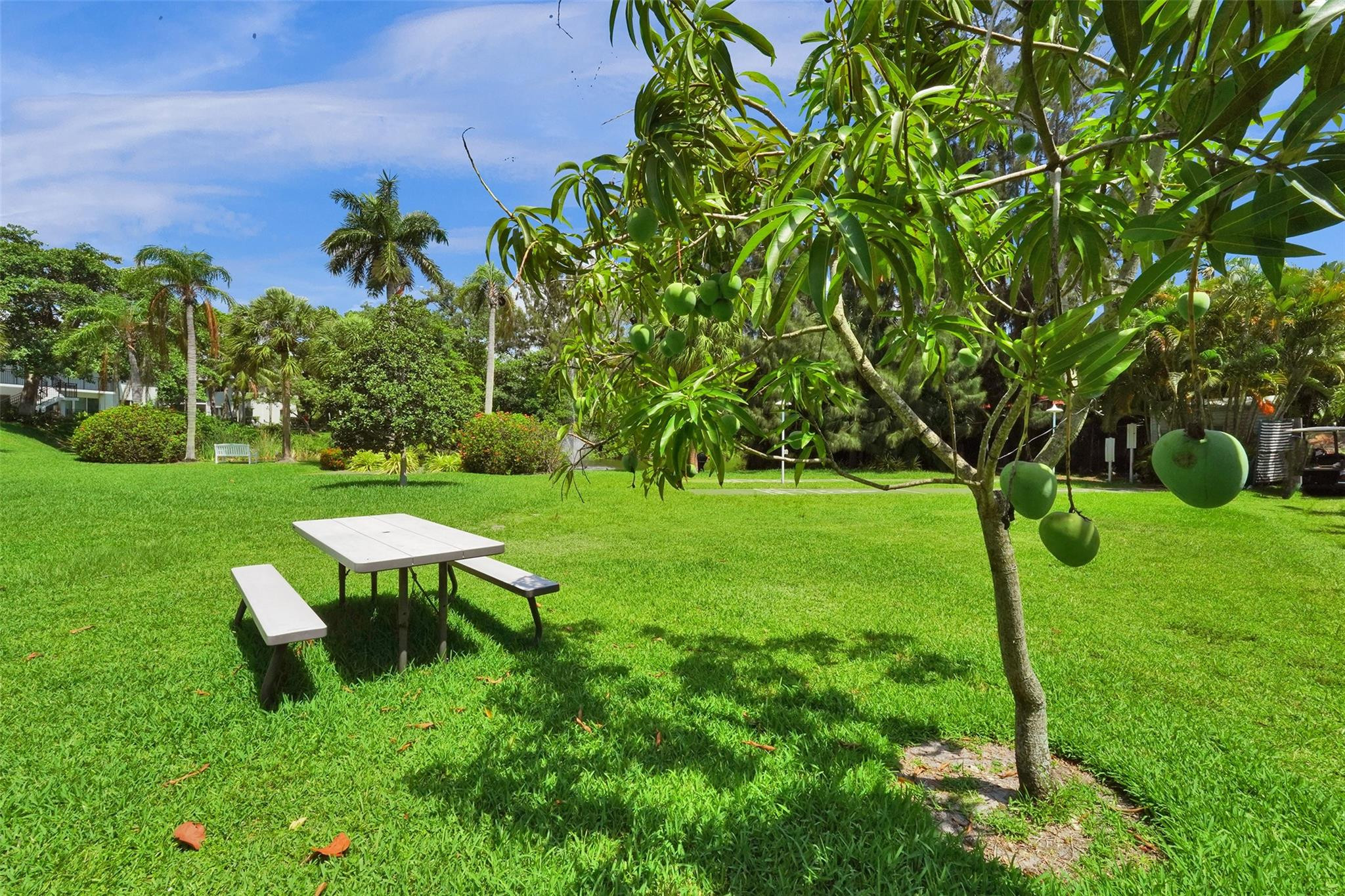 Cliff Lake Villas - Residential