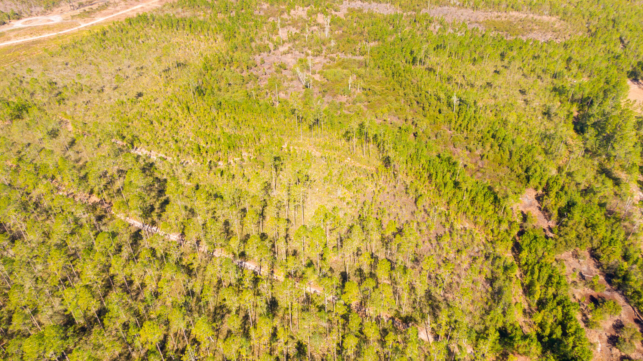 PAYNE'S LANDING RANCHES UNR - Land