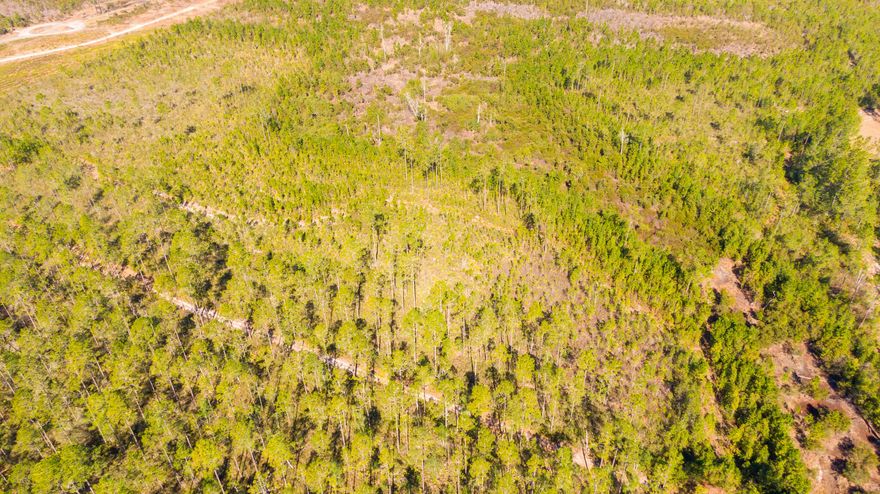 For sale in Fort McCoy, FL 32134—four separate vacant parcels (Parcel #04572-000-34 and others) priced at $45,000 each, with a package deal available for buyers interested in multiple lots. Located in a peaceful rural setting near the Ocala National Forest, these properties offer plenty of space for your dream home, small farm, or recreational retreat. Enjoy privacy and nature while still being within a short drive to shopping, dining, lakes, and outdoor activities. This is a rare opportunity to secure your own piece of Florida land in a quiet, scenic area—buy one lot or all four for a larger estate.