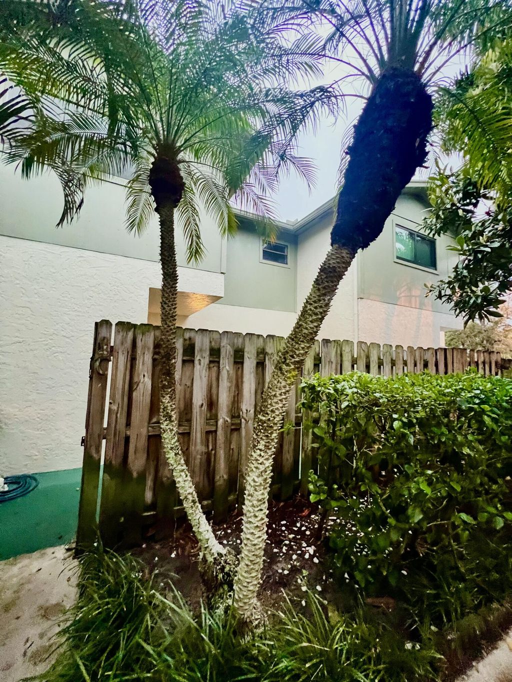 Photo of 4320 Lilac Street #2c, Palm Beach Gardens, FL 33410 (MLS # B26004364)