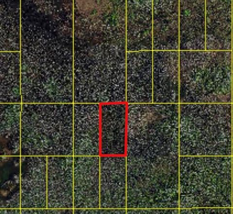 0 Holopaw Groves Road St Cloud FL 34771