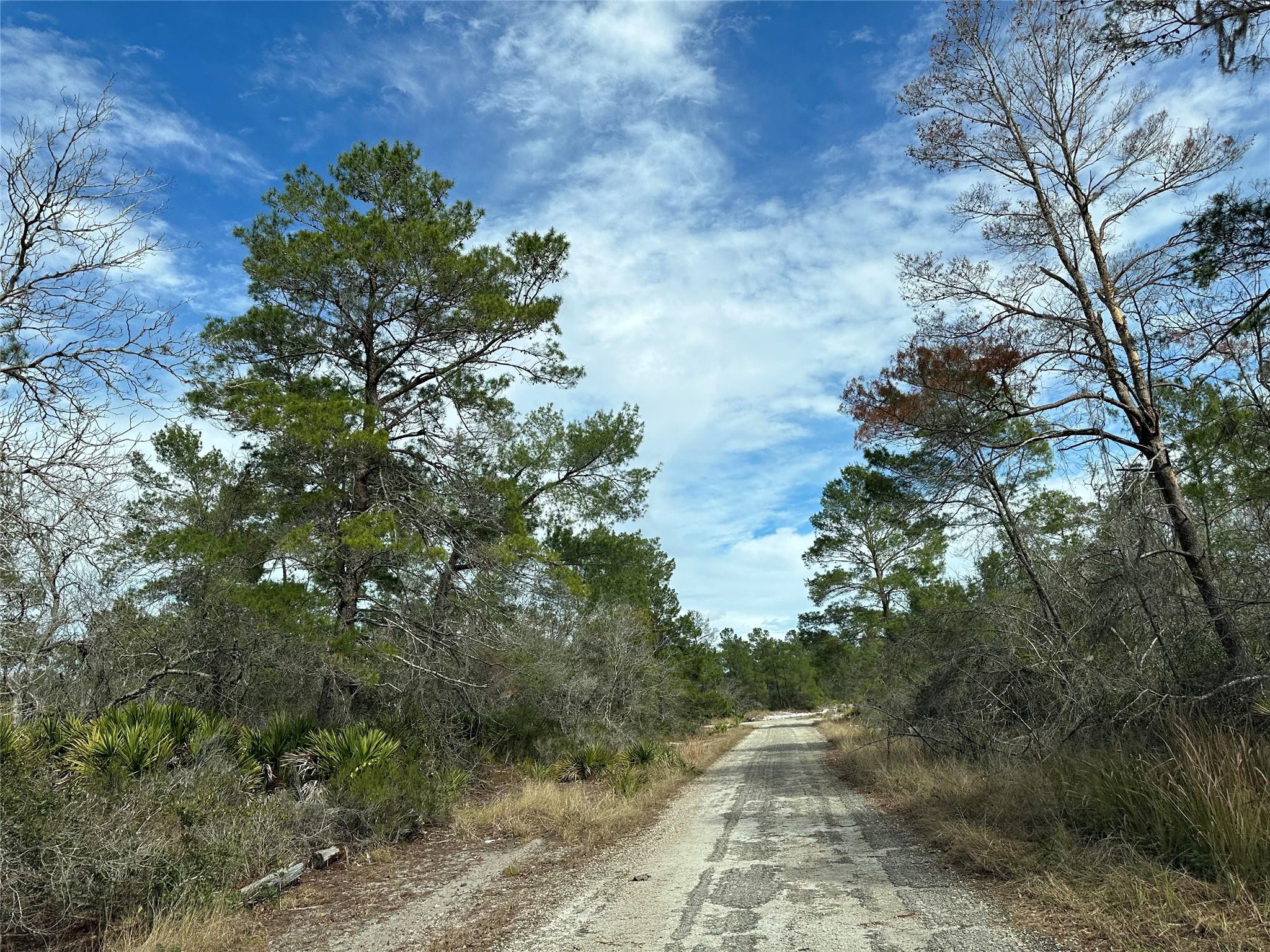 Residential Lot just under 1/4 of an acre.