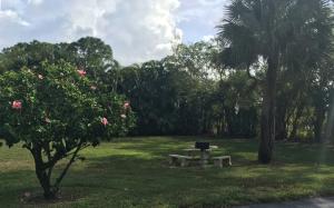 PINE RIDGE NORTH - Residential