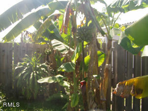 Port Saint Lucie-no hoa - Residential