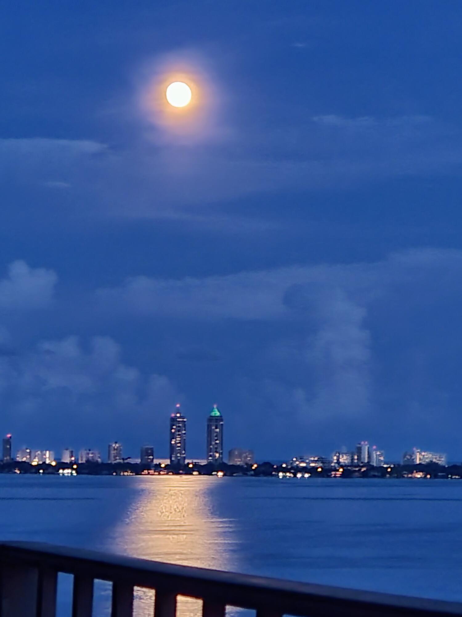 THE PALM BAY YACHT CLUB CONDO - Residential