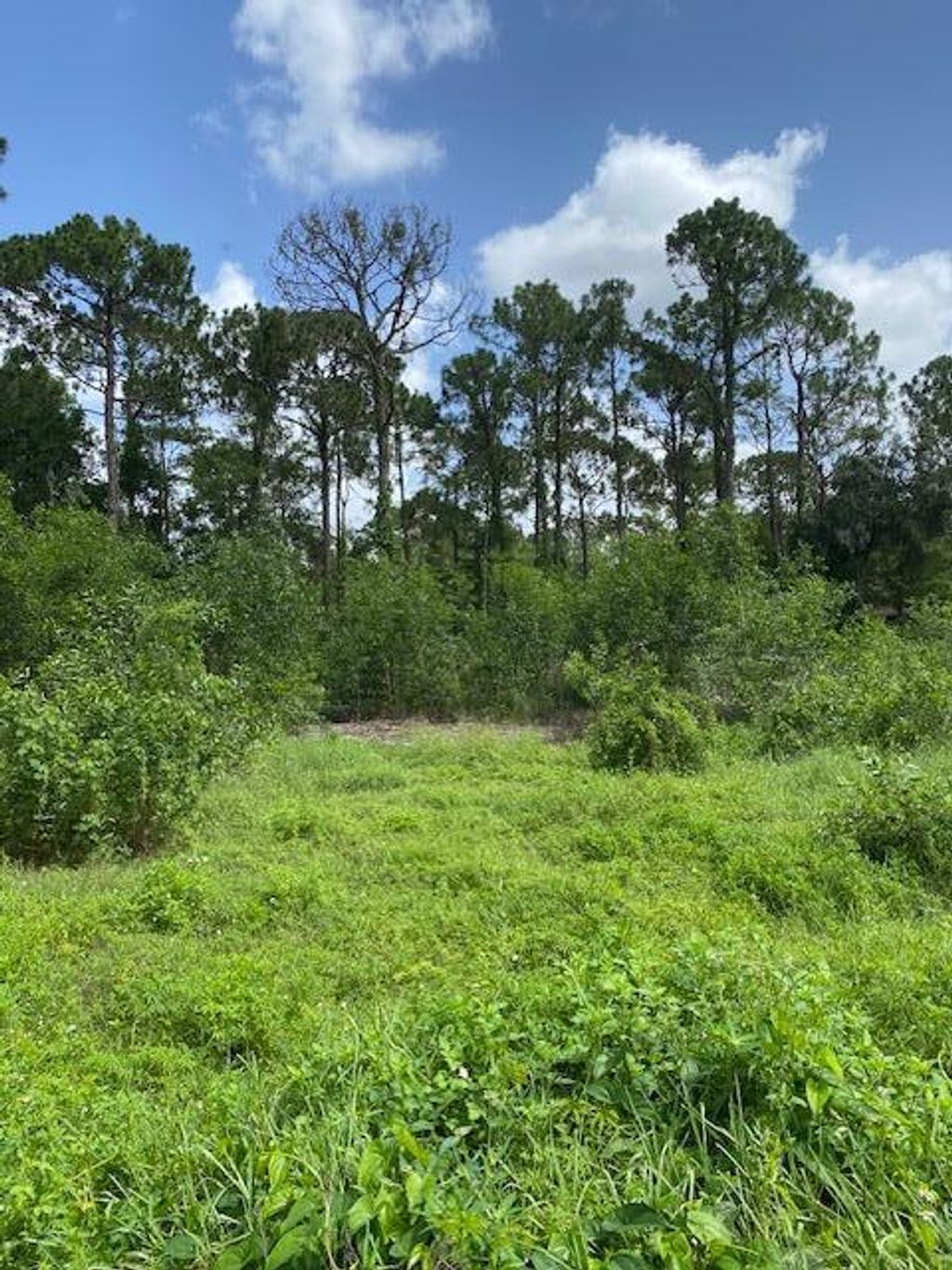 Photo of Xxxx 44th Place, West Palm Beach, FL 33411 (MLS # R10991084)