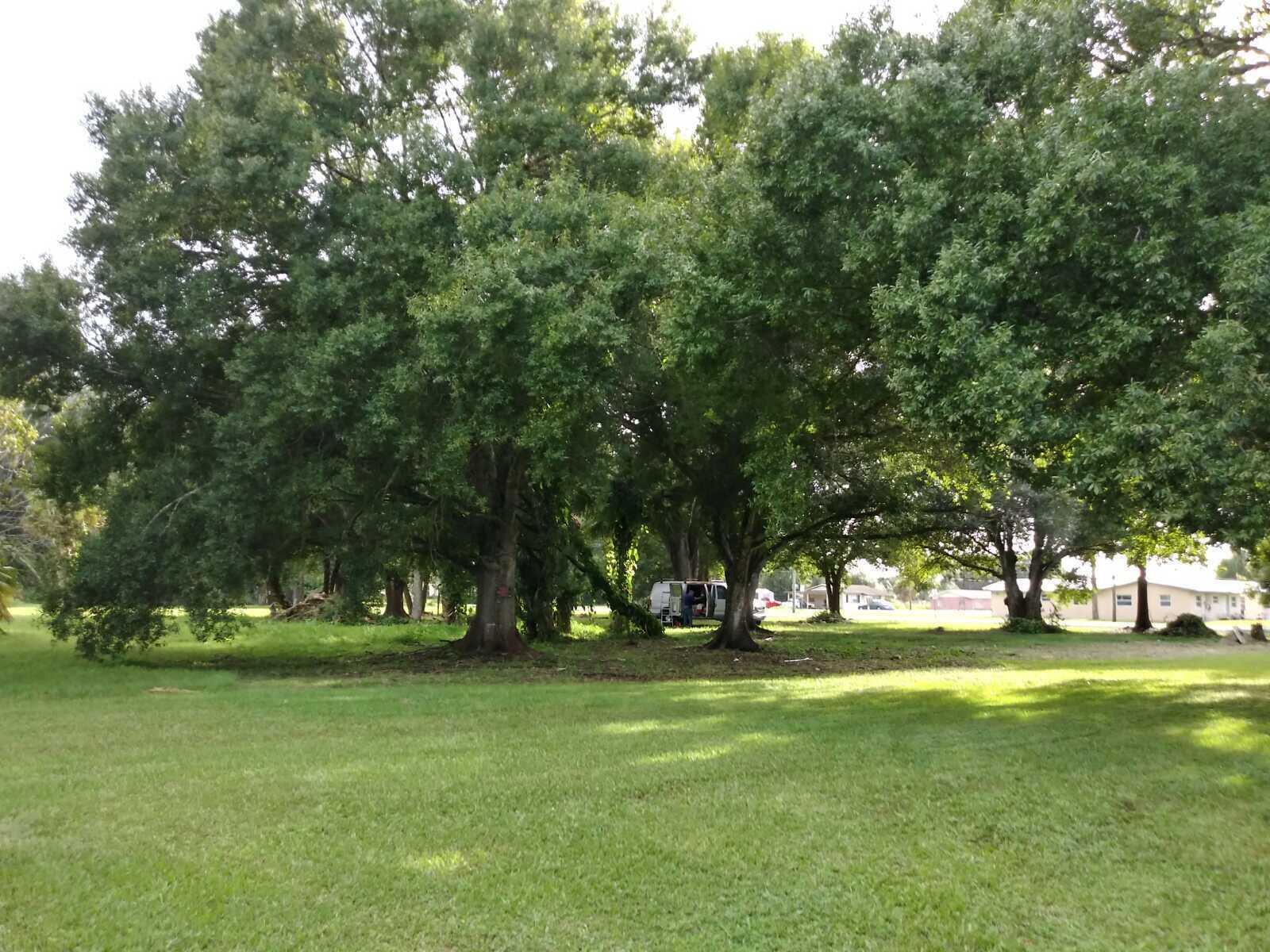 CITY OF OKEECHOBEE - Land