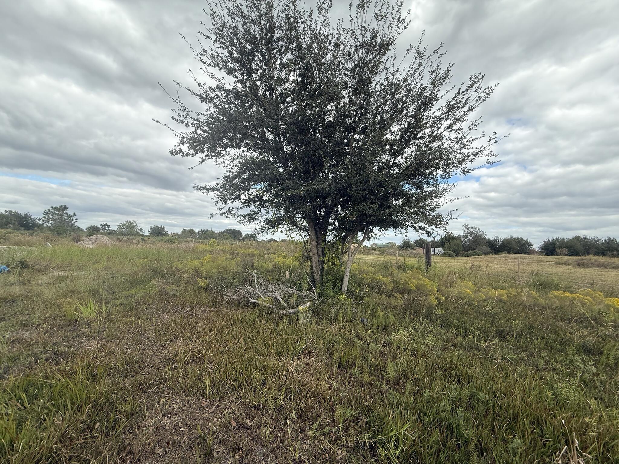 SOUTHERN COLONIZATION CO - Land