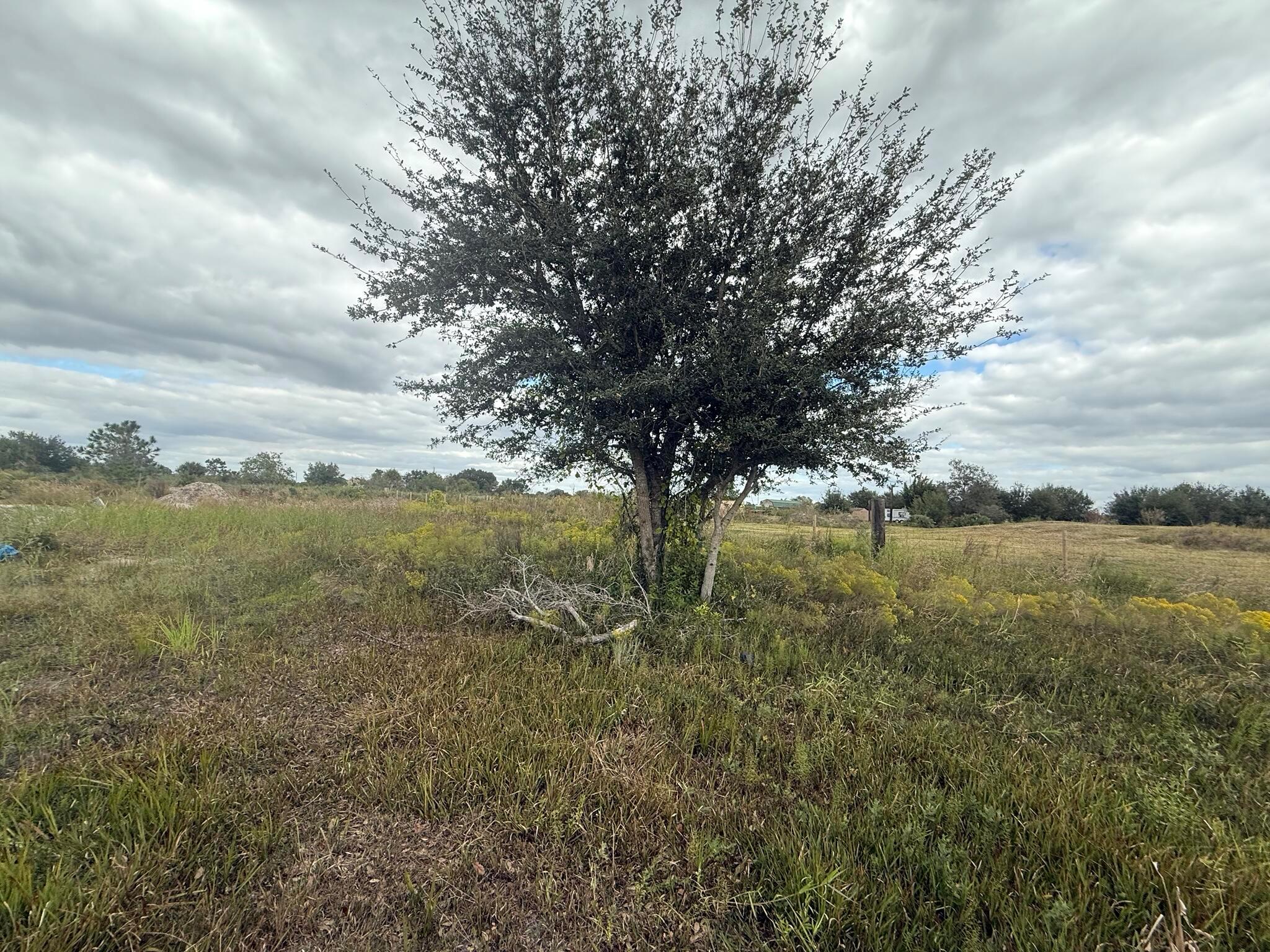 SOUTHERN COLONIZATION CO - Land