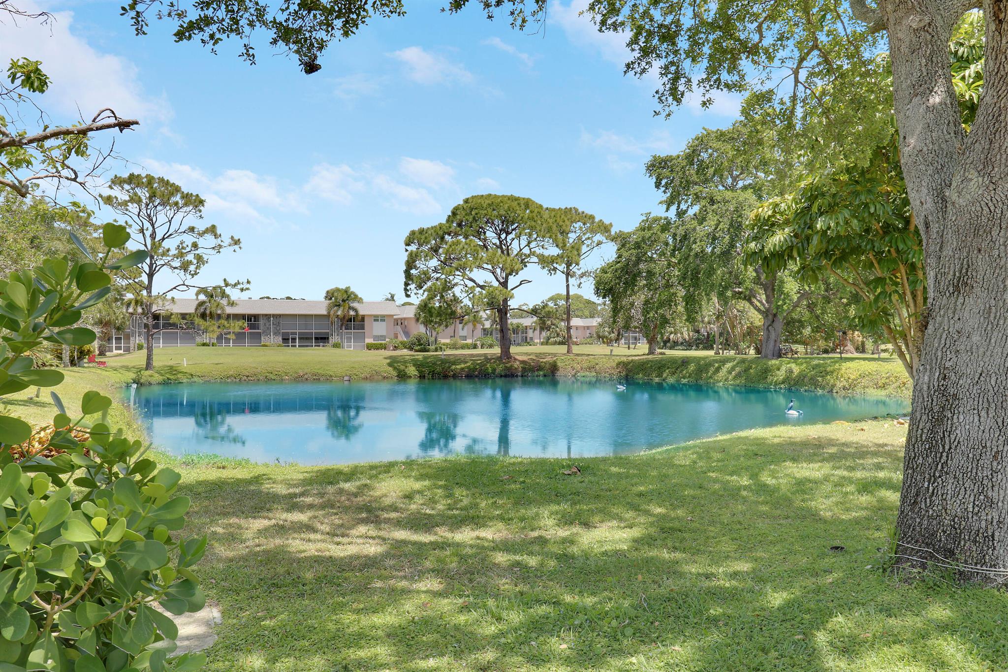 LITTLE CLUB - Residential