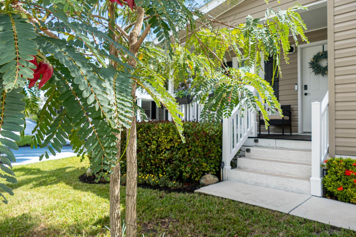 Pinelake Village - Residential