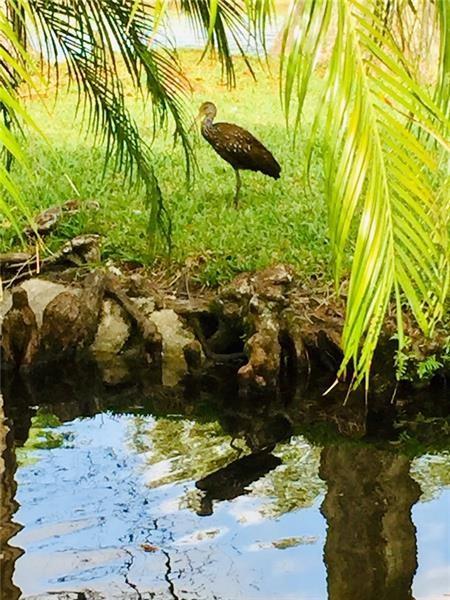 Cypress Bend 1 - Residential