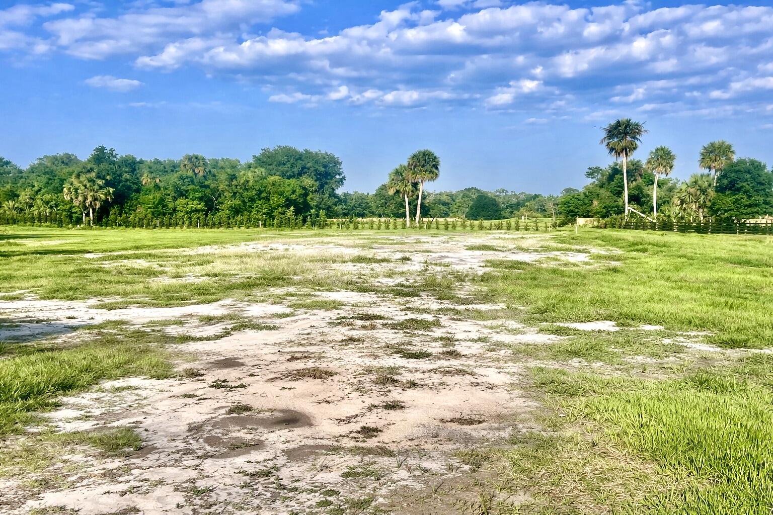 BRIDLEWOOD RANCHES - Land