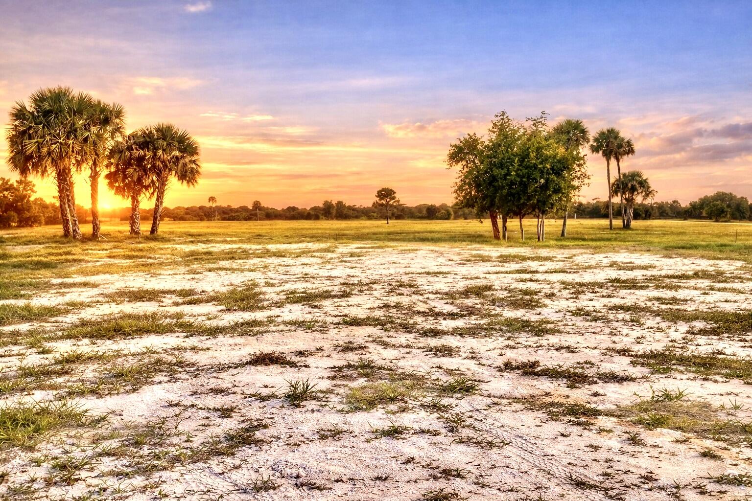 BRIDLEWOOD RANCHES - Land