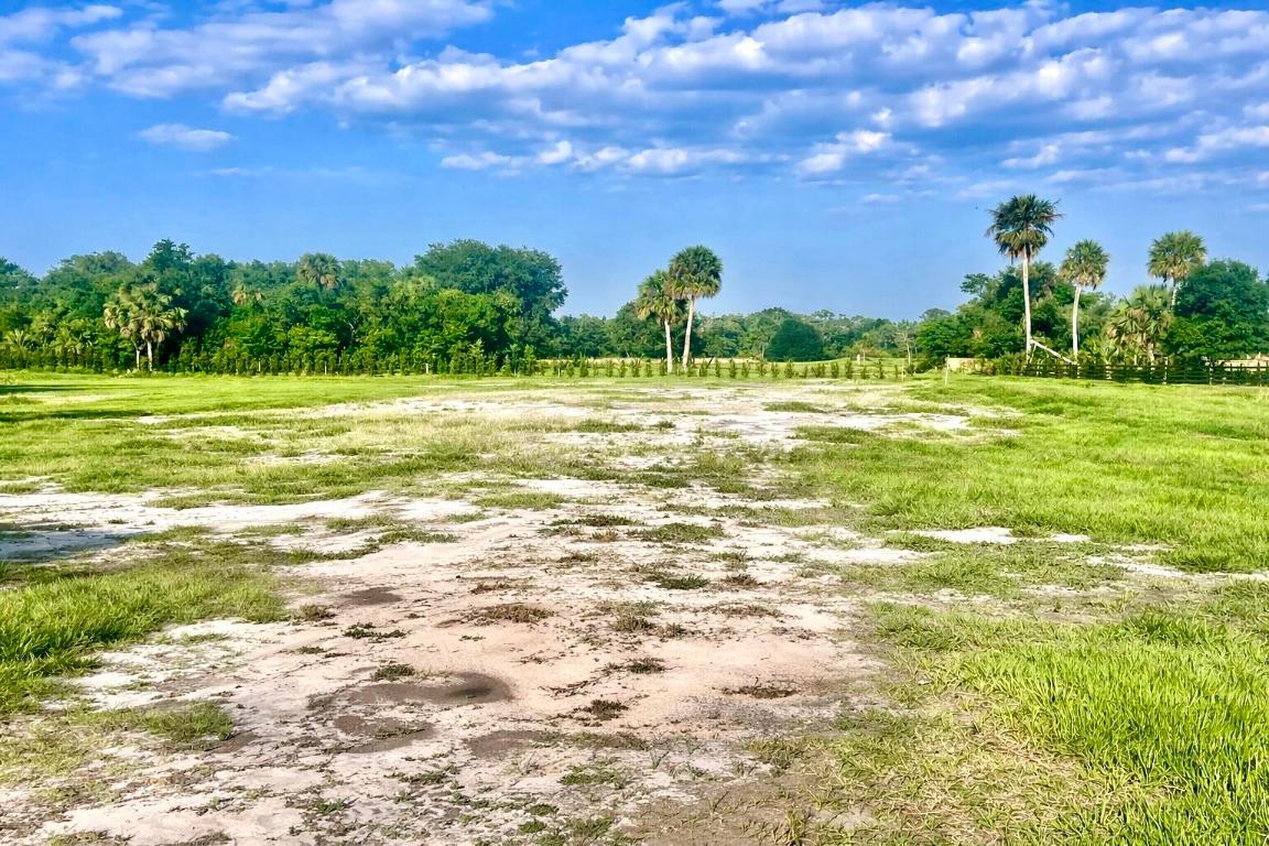 BRIDLEWOOD RANCHES - Land