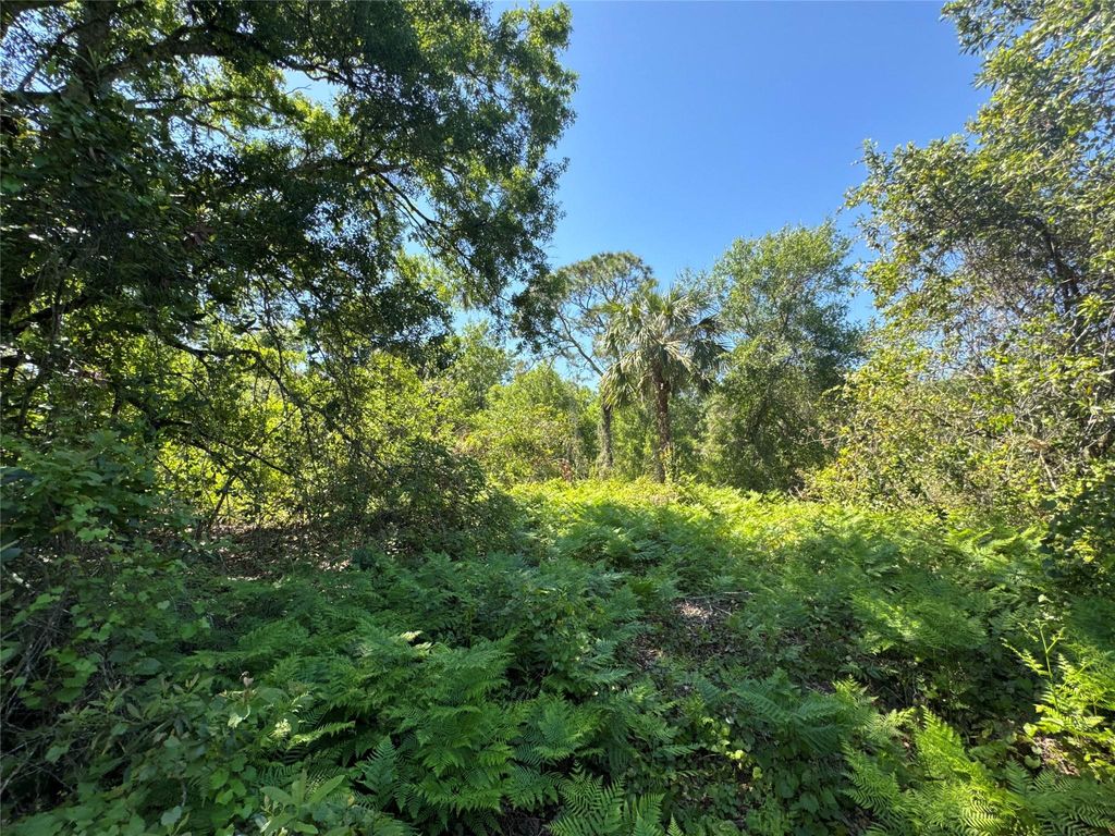 Photo of 3401 SW Dunklin Avenue, Okeechobee, FL 34974 (MLS # F10492210)