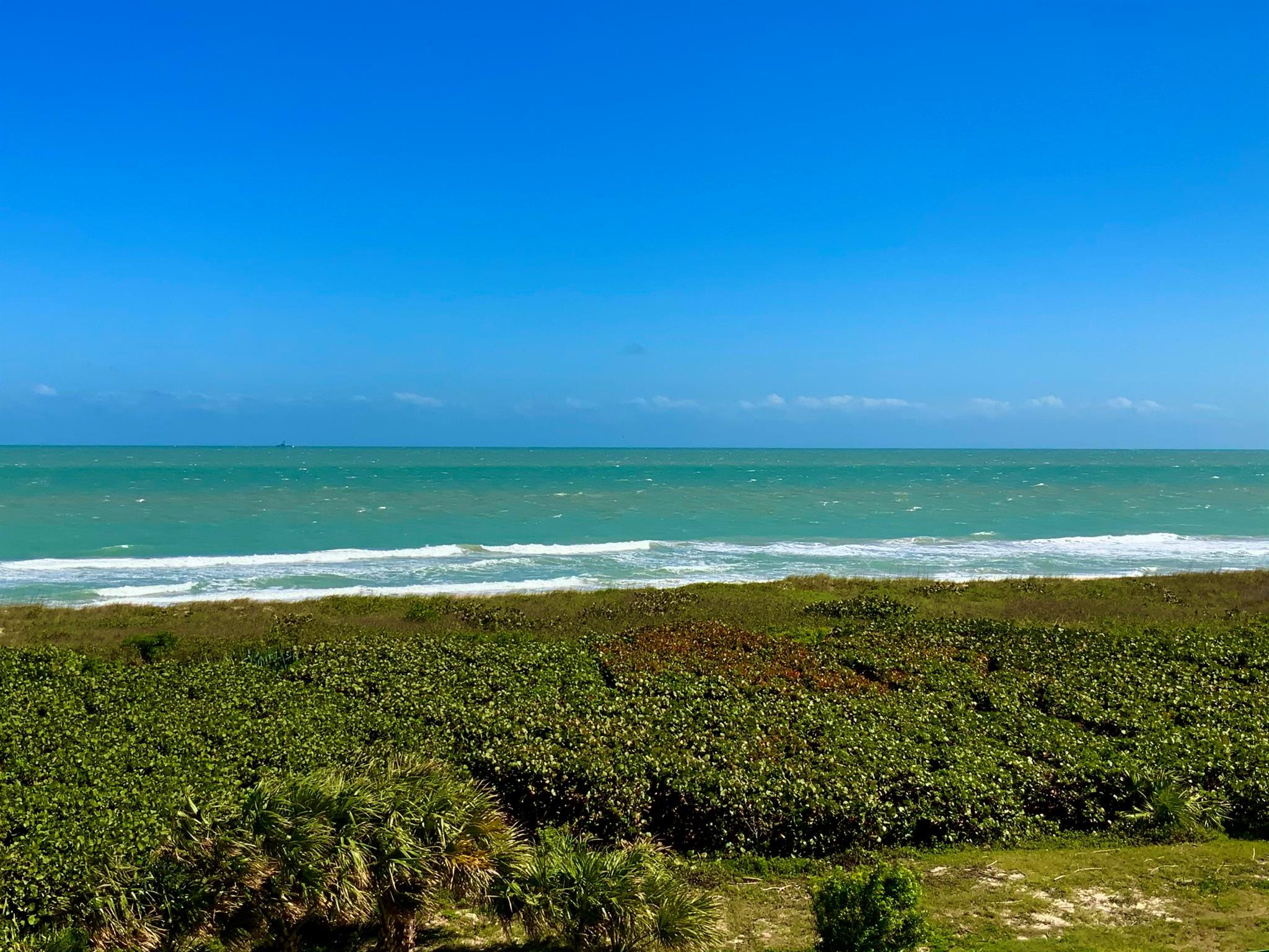 SEA PALMS CONDOMINIUM - Residential Lease