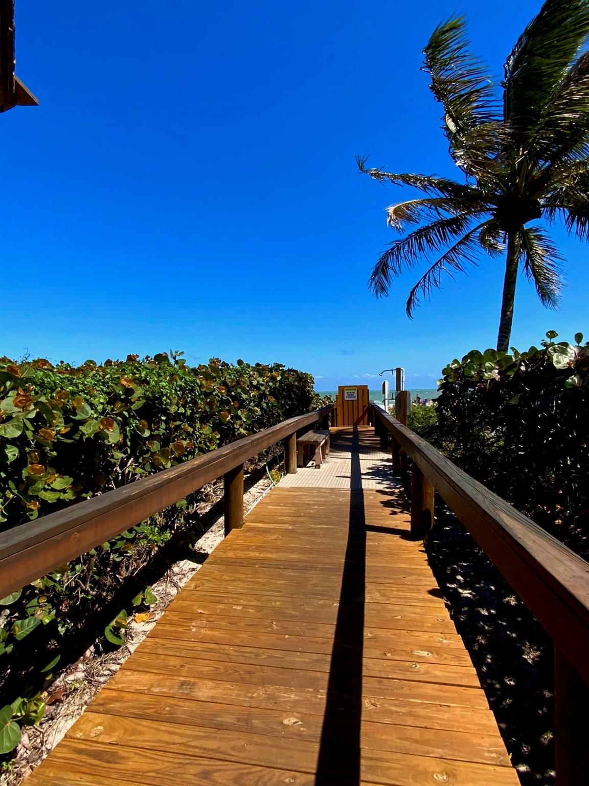 SEA PALMS CONDOMINIUM - Residential Lease