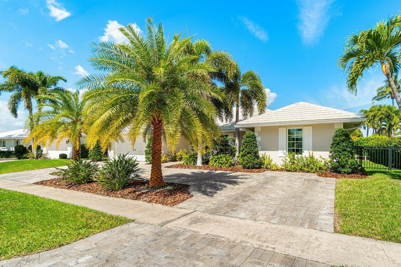 633 Tulip Tree Lane