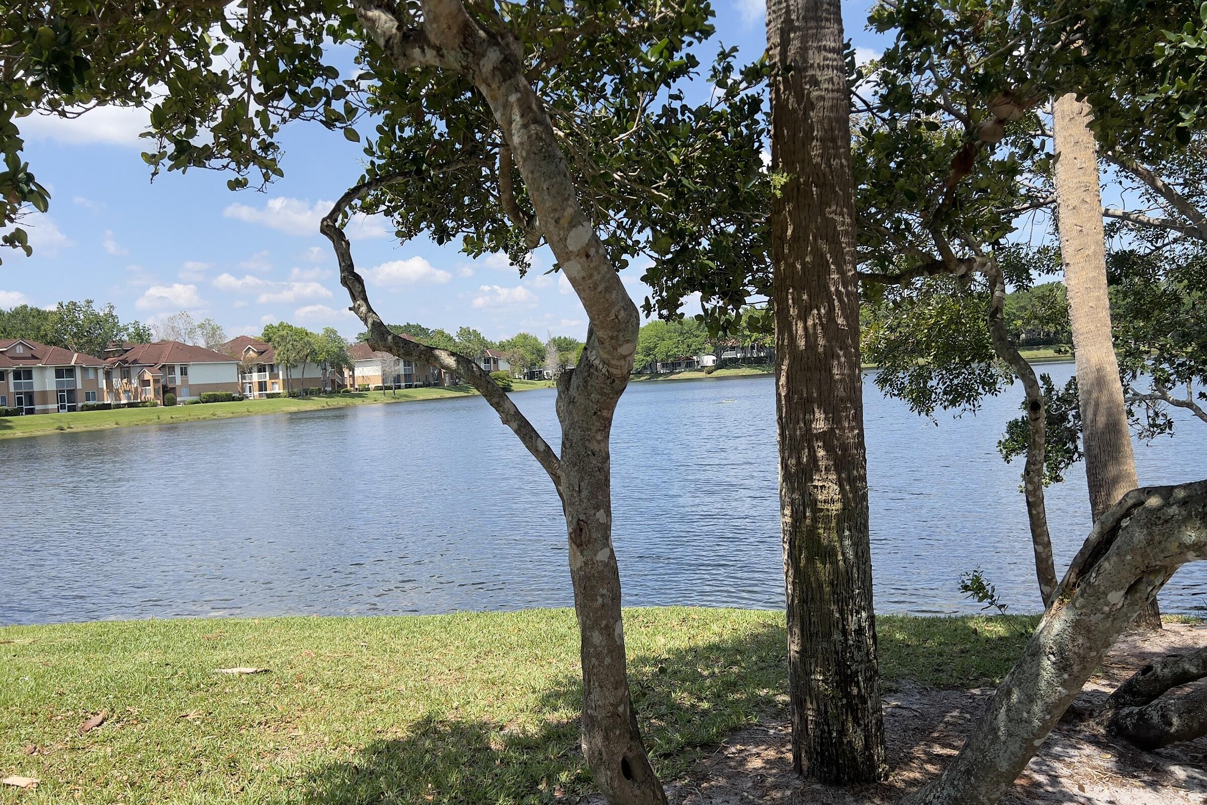 COLONNADES CONDO - Residential