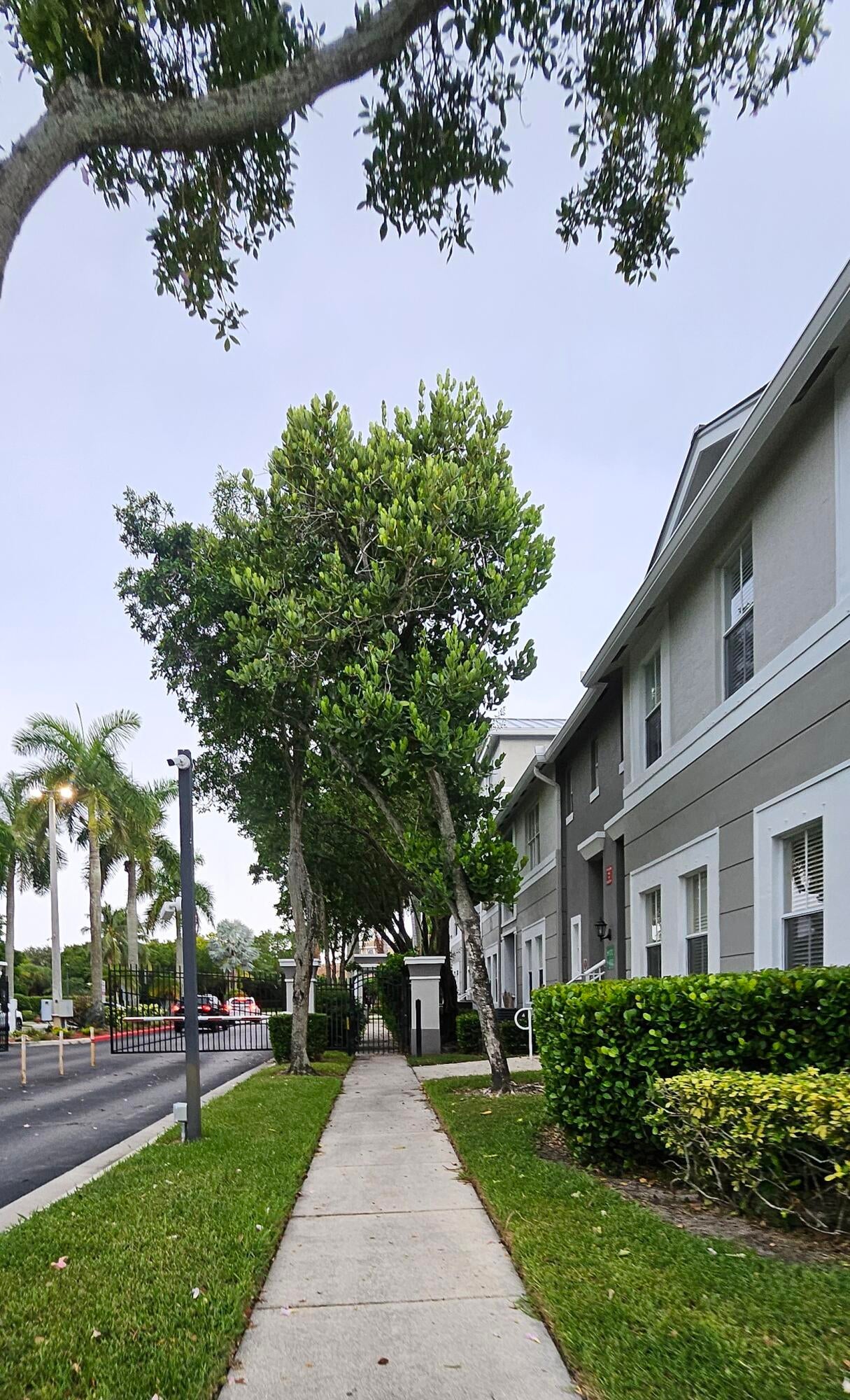 Properties 1110 E Shoma Drive E 423