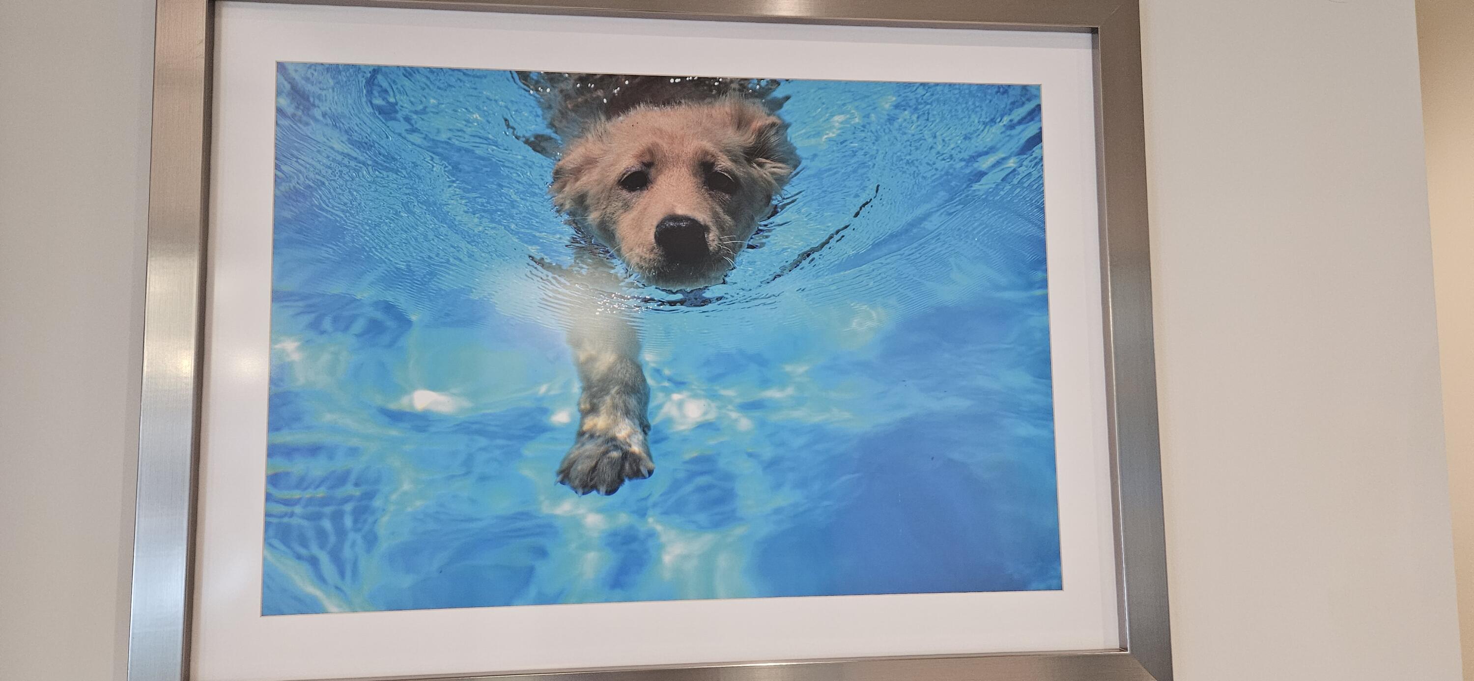 RIVERLAND PARCEL B - PLAT SEVEN - Residential