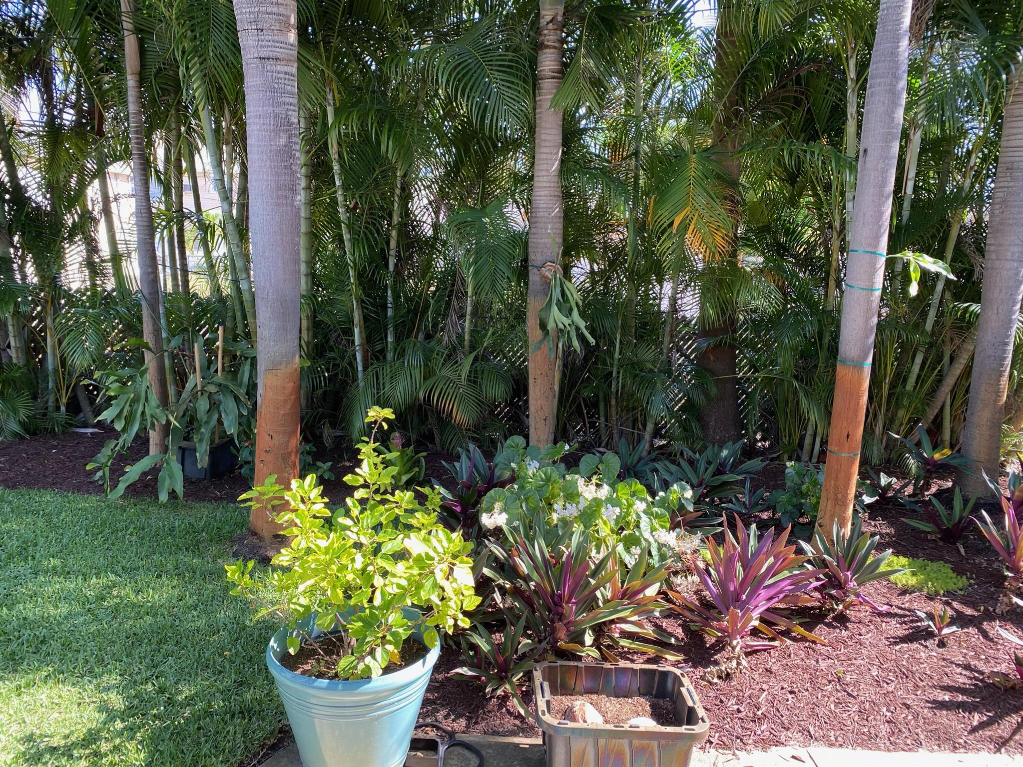 LAKE WORTH TOWN OF - Residential Lease