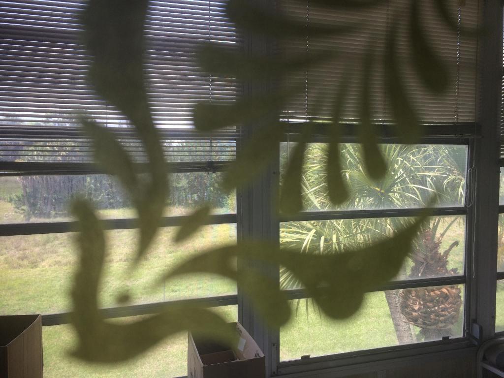 CENTURY VILLAGE - Residential