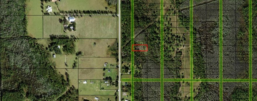 CAMP HUNT RIDE off Old Grade Road in Polk City, FL. This private one acre lot is a blank canvas for your recriational and/or agricultural ventures. Take advantage of our owner financing with only $1,500 down and no closing costs.