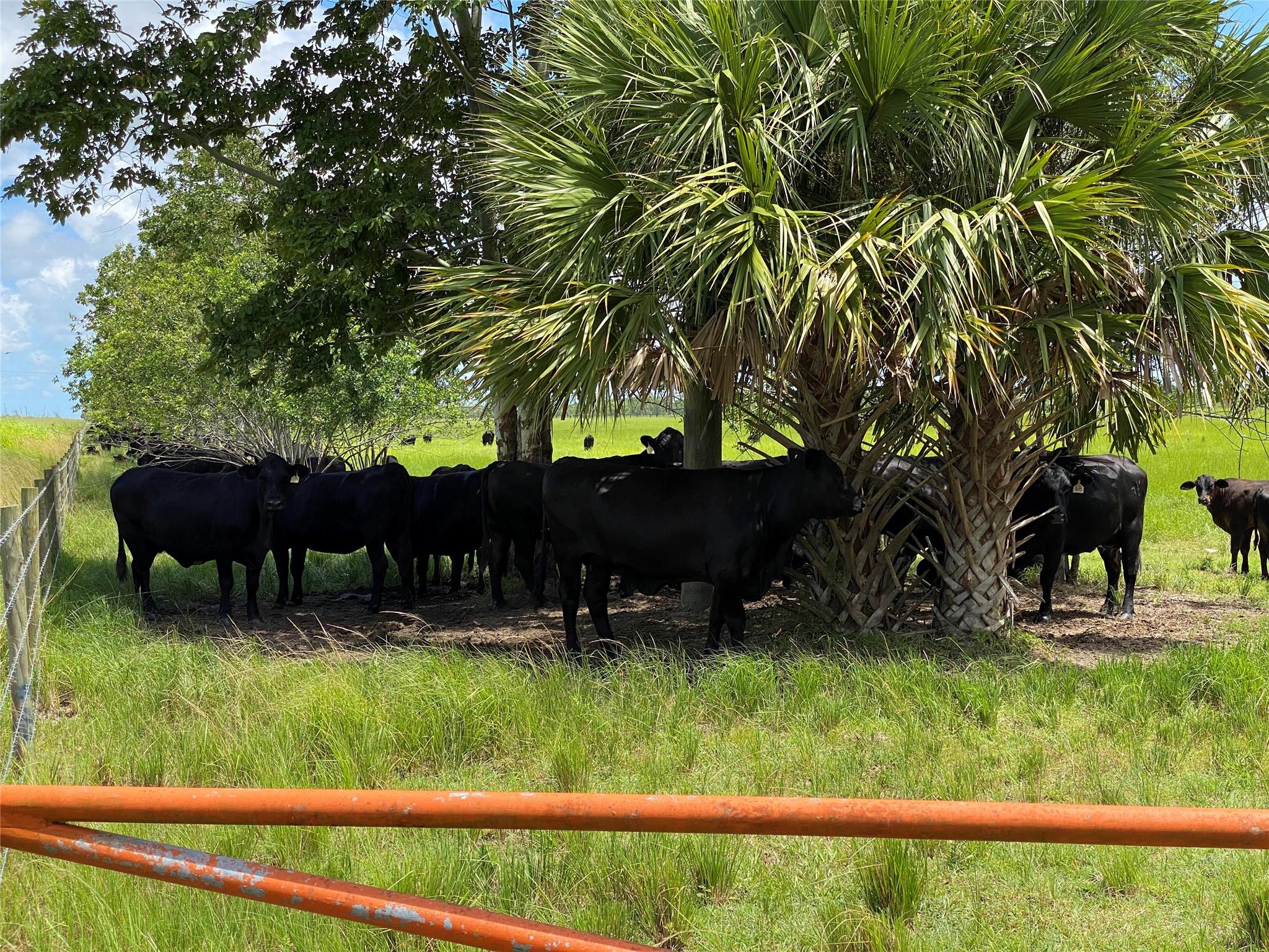 South Header Canal Road Region - Land