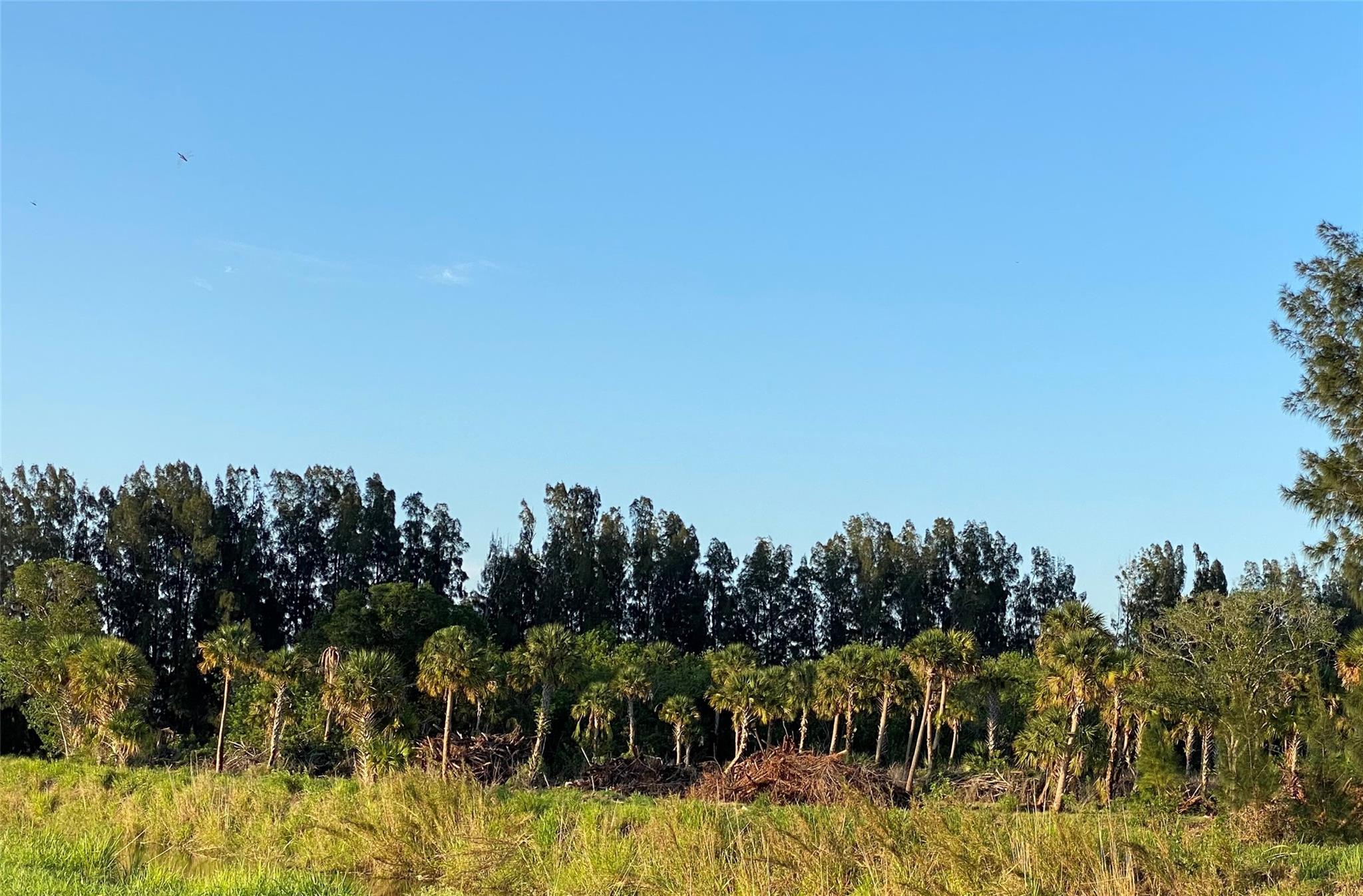 TBD S Header Canal Road