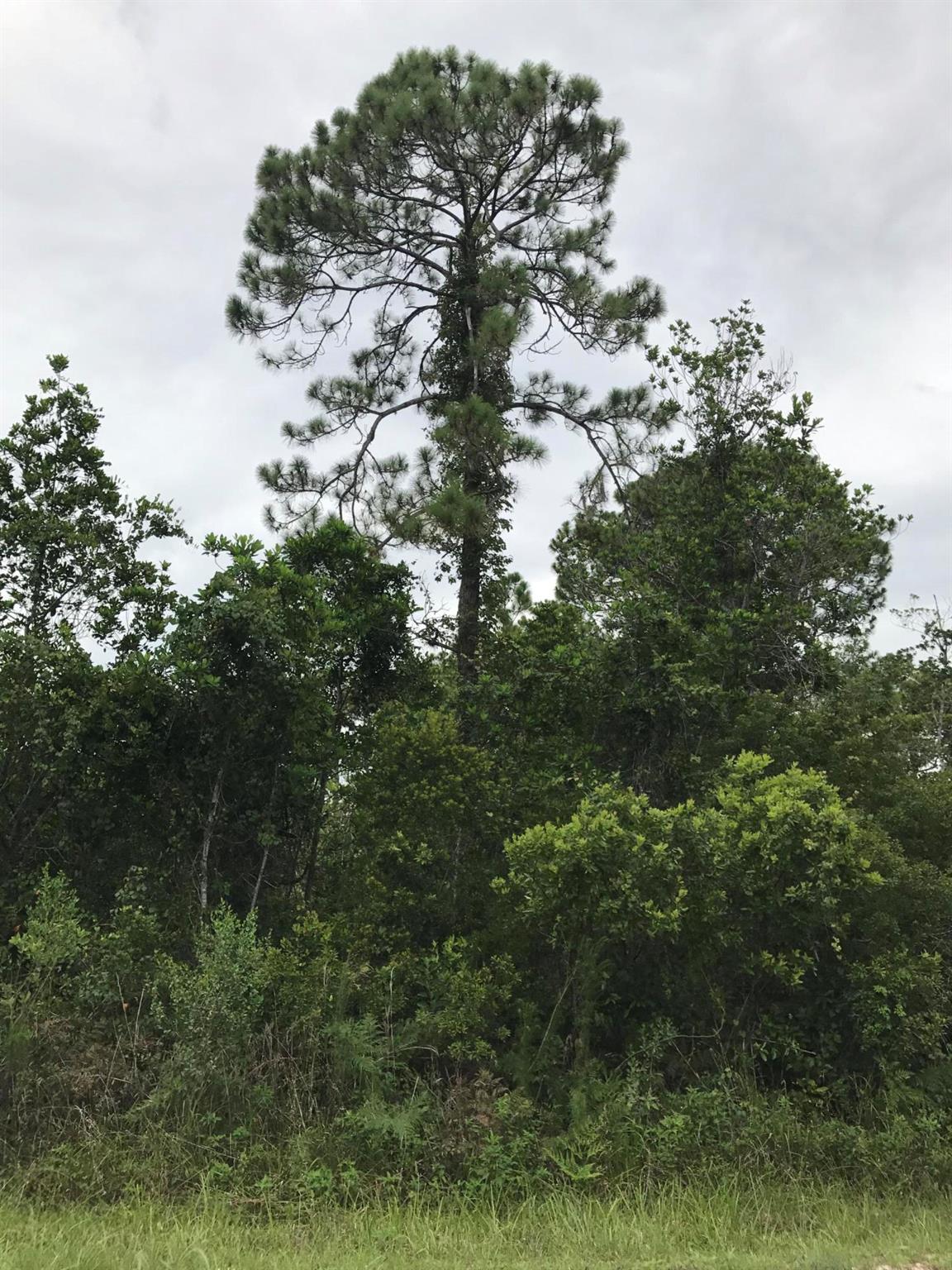 LEISURE LAKES SEC 11 - Land