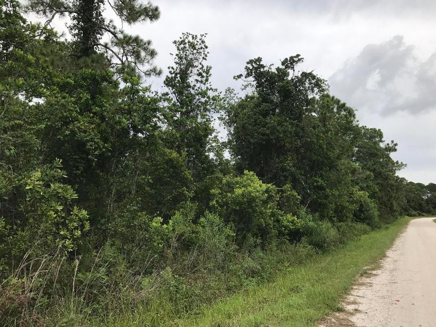 Build your dream home in Lake Placid Florida! This location is the perfect place to get away from all the hustle and bustle. Not much development nearby which makes it a nice quiet spot for rest and relaxation. Create your own idea of Paradise today!