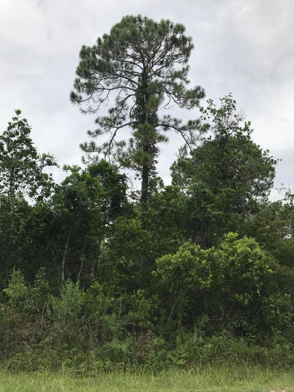 LEISURE LAKES SEC 11 - Land