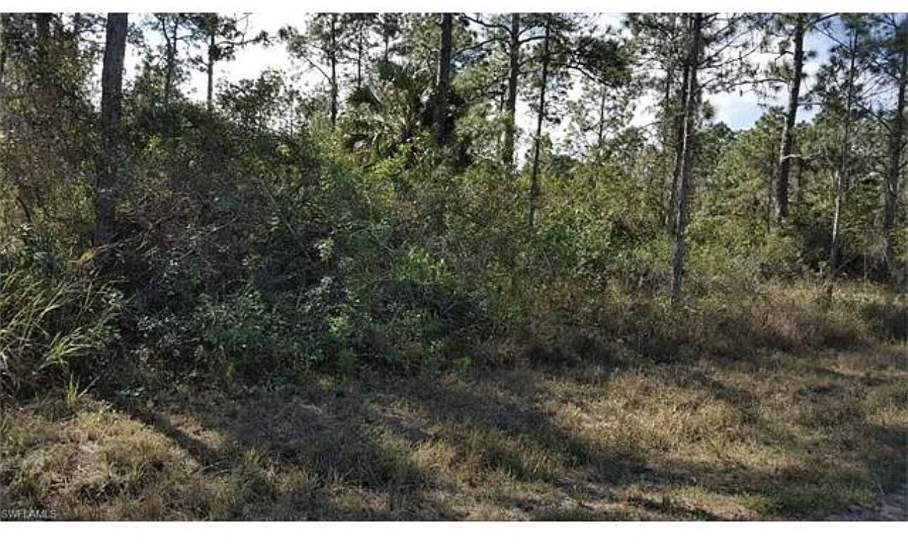 Lehigh Acres - Land