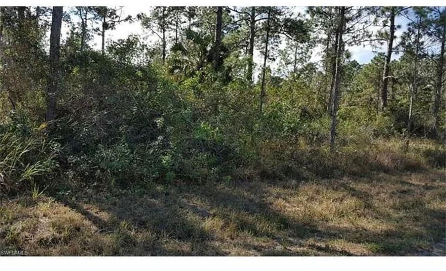 Excellent opportunity to own a vacant residential lot in rapidly developing Lehigh Acres. Ideal for new construction or long-term investment. Convenient access to main roads, shopping, and schools. No HOA. Buyer/ buyers agent responsible for verifying zoning, utilities, and land use. Buyer is responsible for all due diligence including zoning, utilities, and land use verification. No HOA. Please verify access and road conditions. Lot dimensions and boundaries to be confirmed by buyer. Use caution when visiting site.