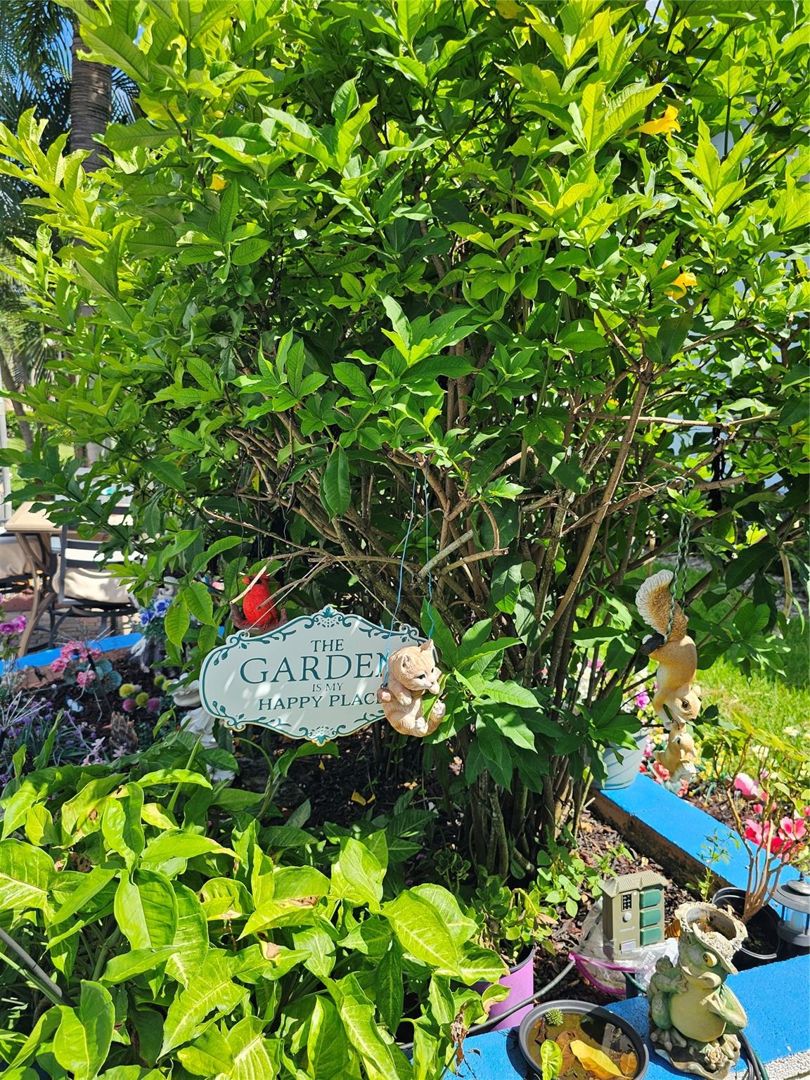 G - Residential Lease