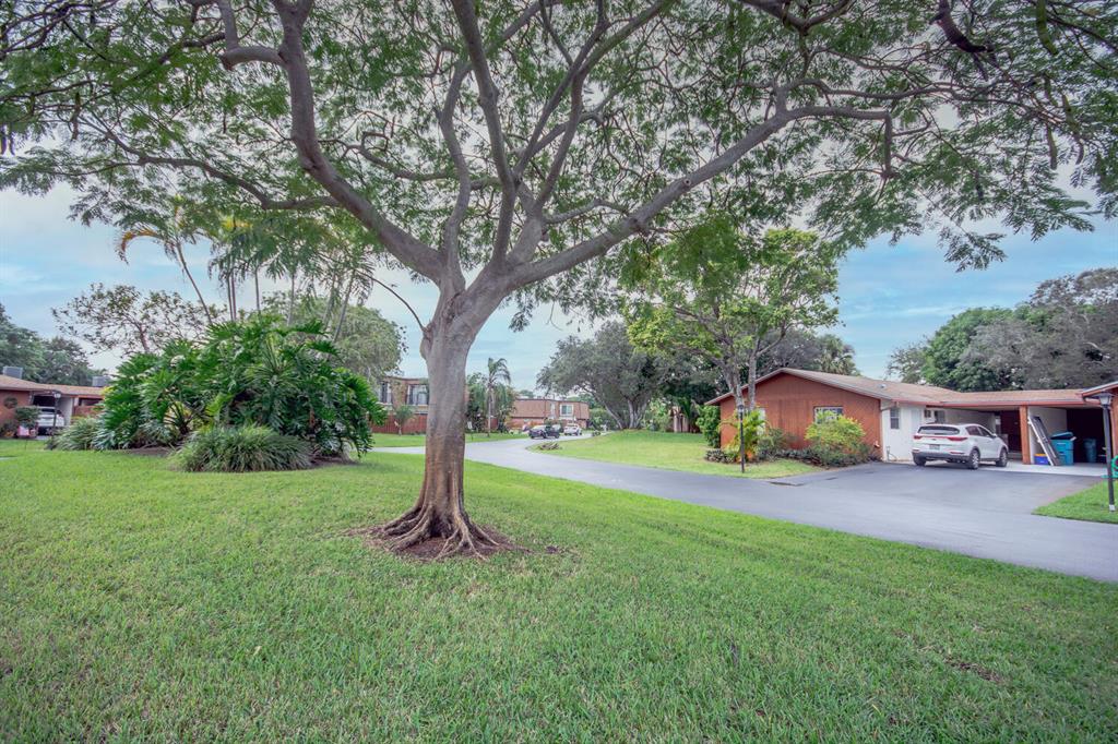 LOS MANGOS - Residential