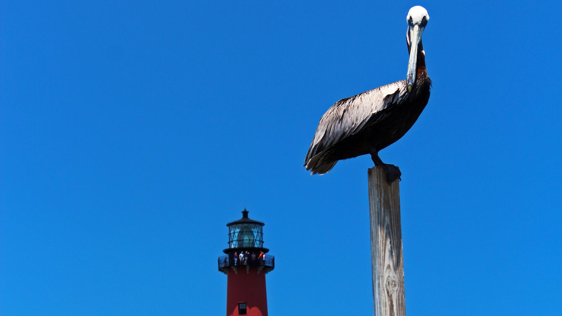 INDIAN CREEK PH IV-B - Residential