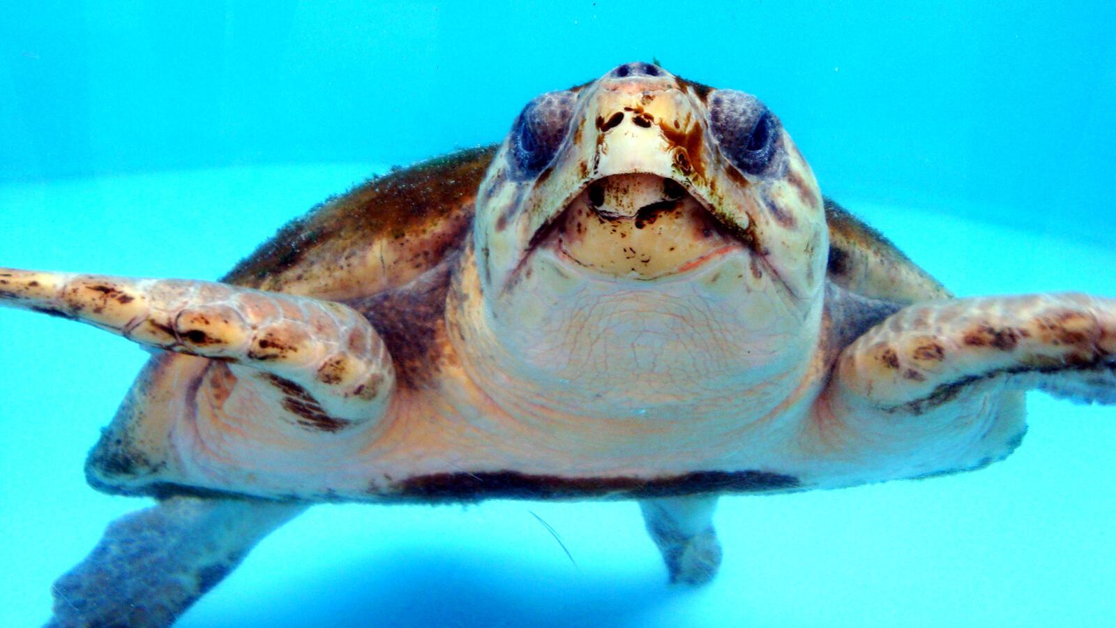 INDIAN CREEK PH IV-B - Residential