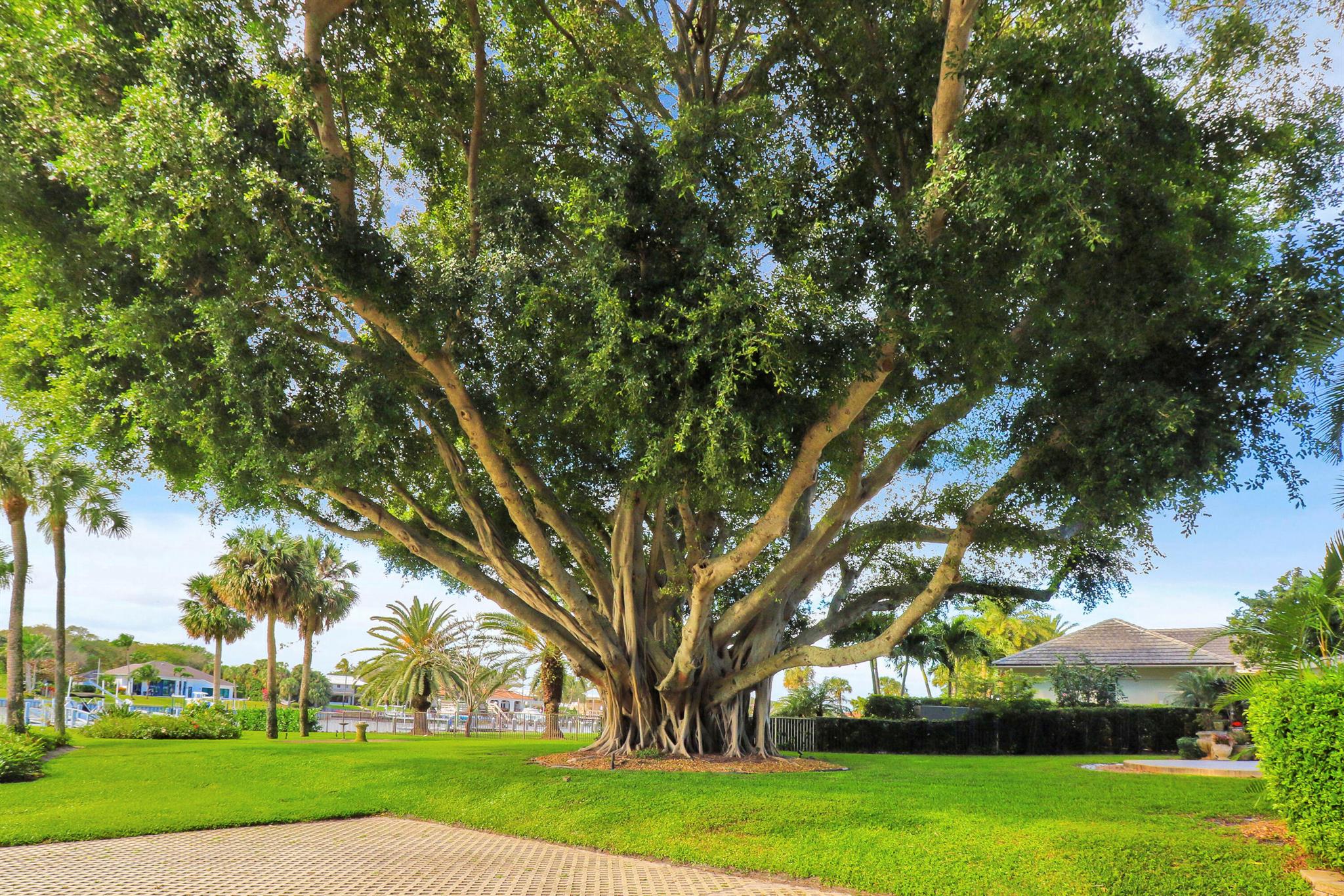 BAY COLONY CONDO - Residential Lease