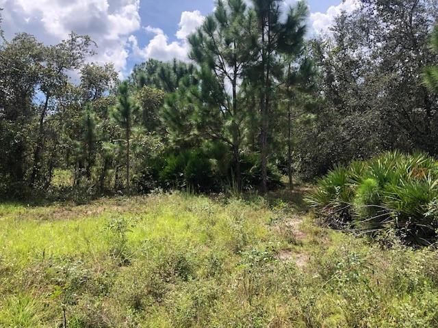 Opp176 Orlando Pines - Land