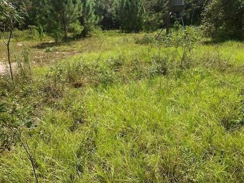 0 Old Grade Rd Other FL 33868