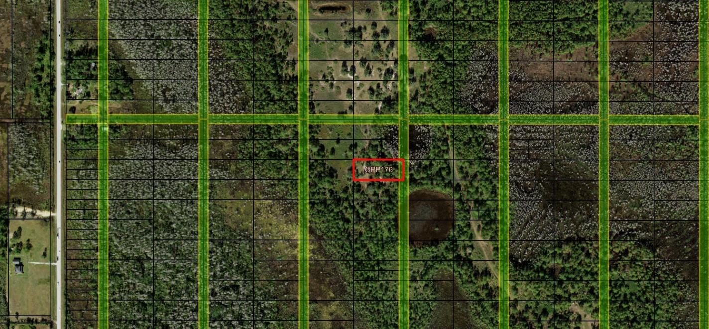 Opp176 Orlando Pines - Land