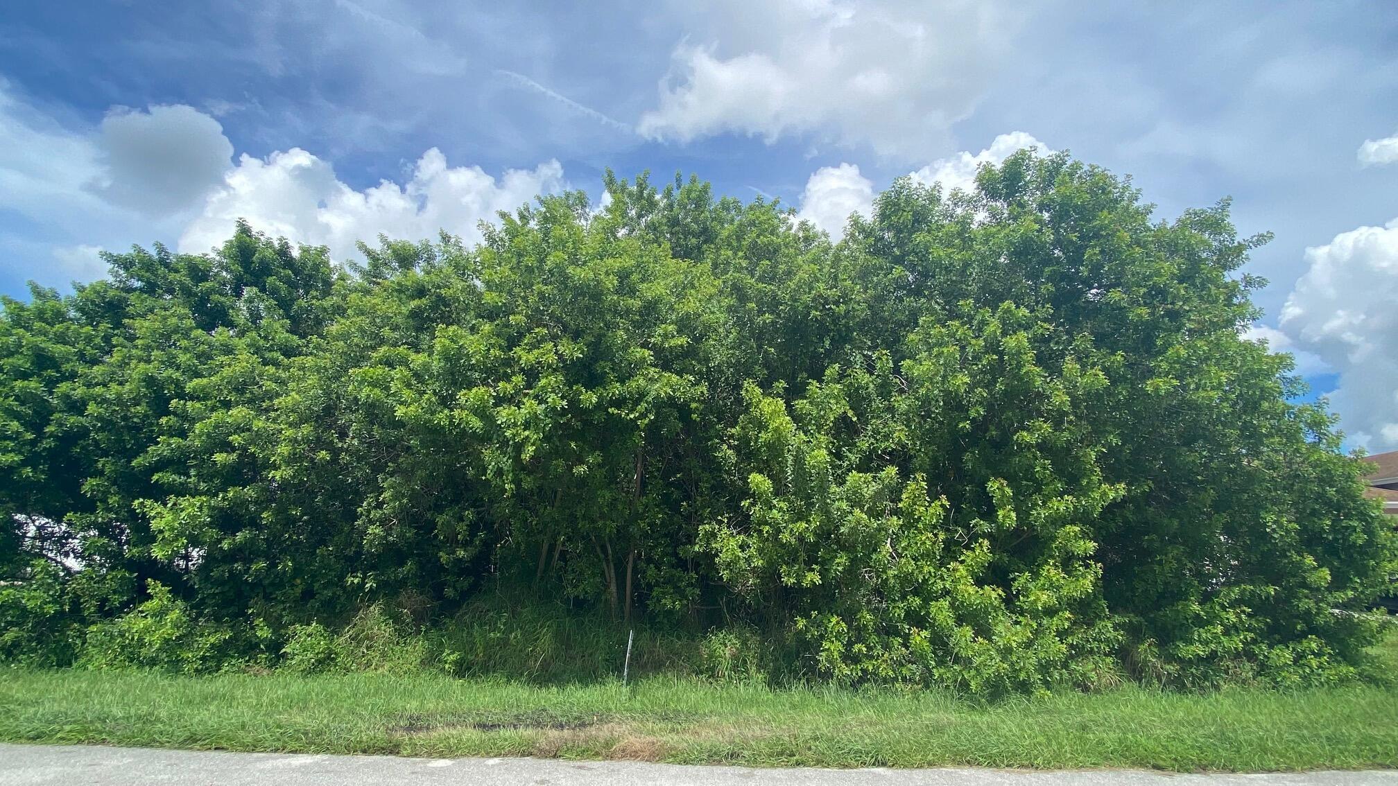 Build your dream home, NO HOA.It is conveniently located between I-95 and the Turnpike, shopping, restaurants, schools, parks and medical facilities-minutes to downtown traditions. Great location!